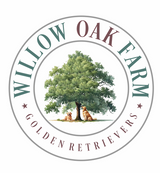 Golden Retrievers of Willow Oak Farm