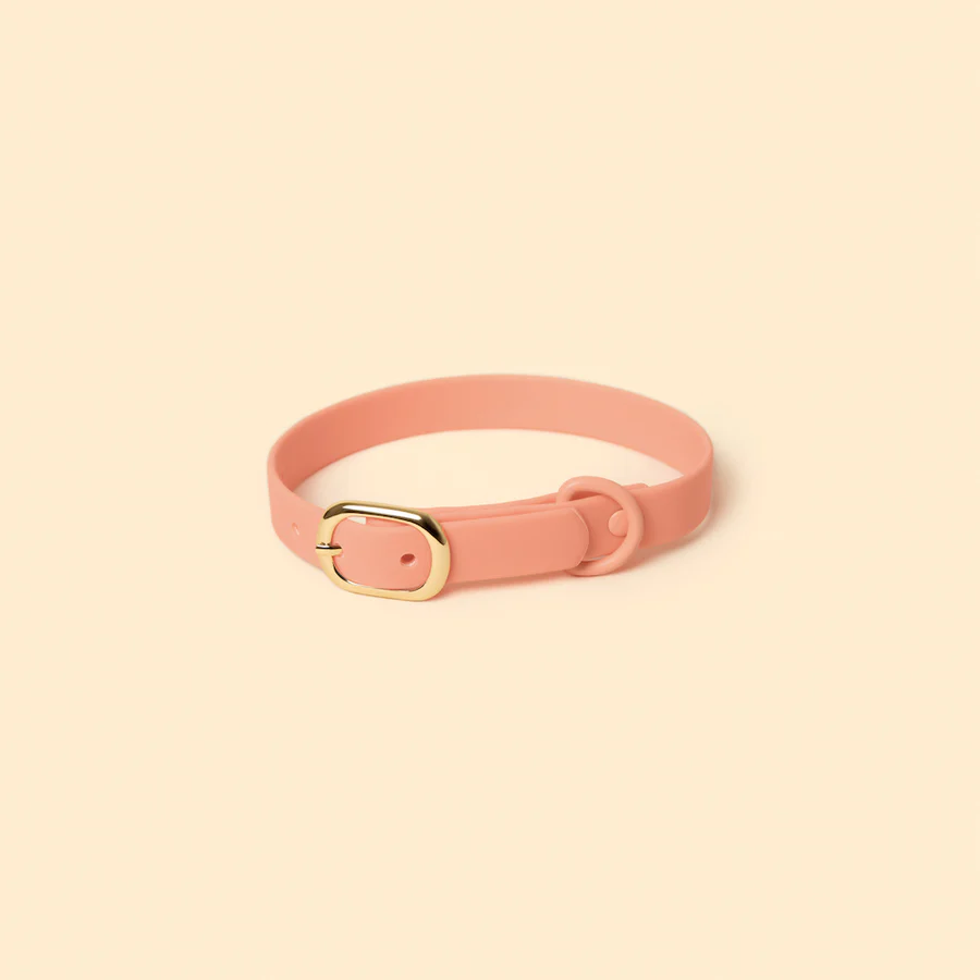 Classic Collar